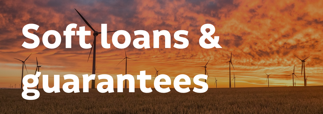 Soft loans & guarantees