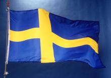 Sweden flag