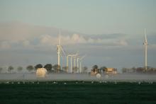 Windmills with fog hovering over the grass