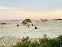 Beach and dunes in Borkum