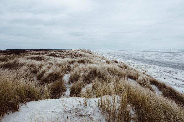 Mitchel Lensink's image of Ameland