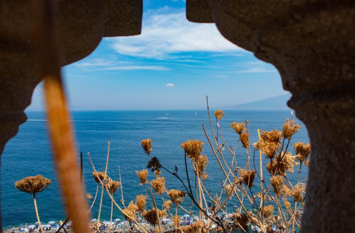 ocean and flowers