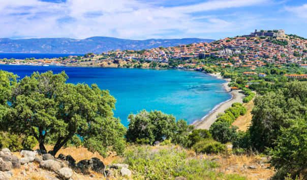 Levsos sea and beach with houses in the background and trees in the foreground