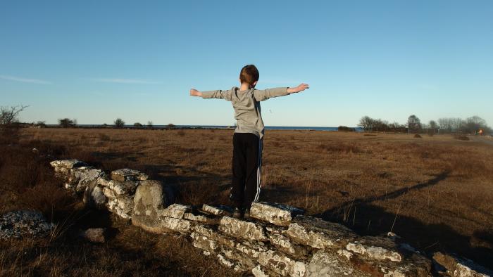 Person standing on a small rocky wall looking over field, arms spread