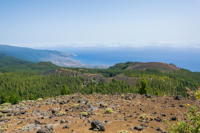 hills with ocean view and forest