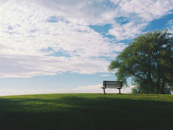 bank on a hill covered in grass with tree in the corner