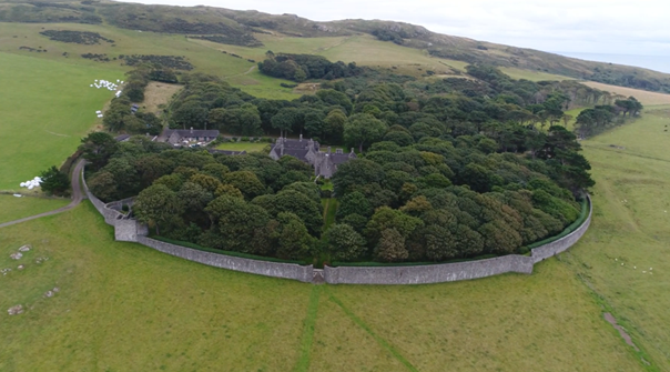 bird view of trees with houses