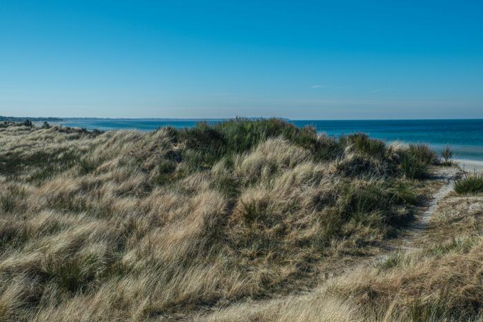 dunes